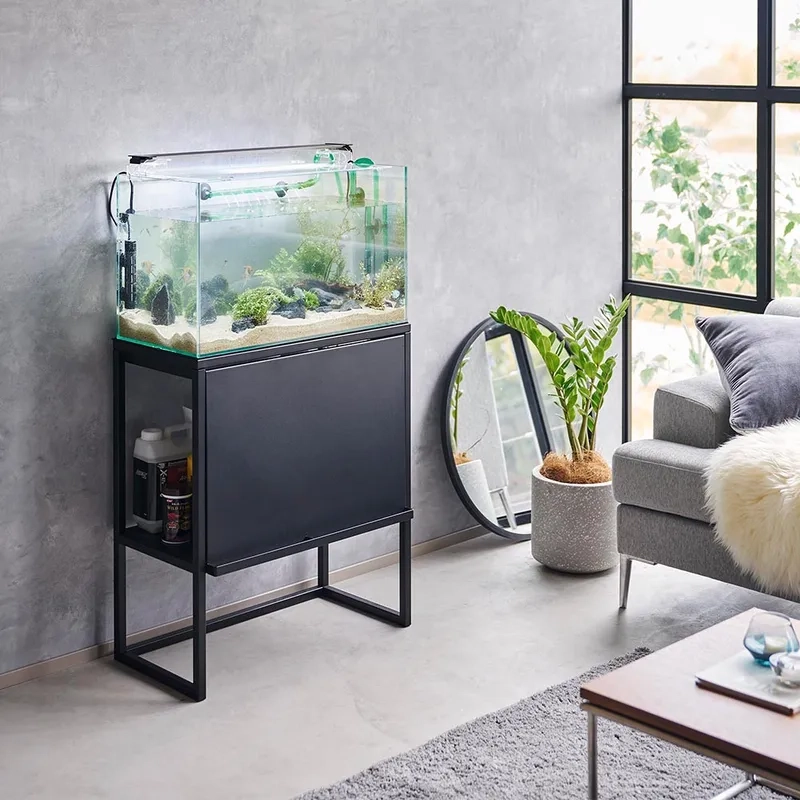 Xem mẫu bể 40cm đẹp hiện nay