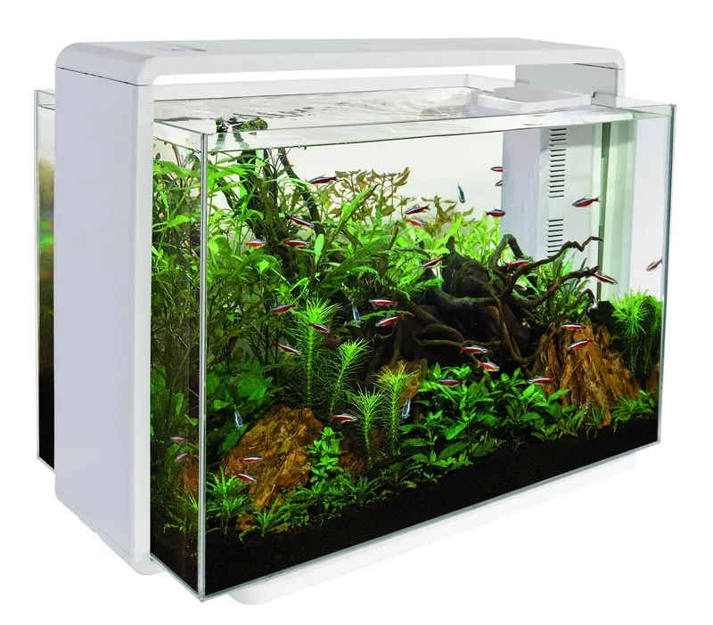 Mẫu bể 40cm mini cực xinh