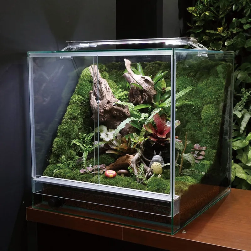 Mua sắm combo bể thủy sinh 40cm