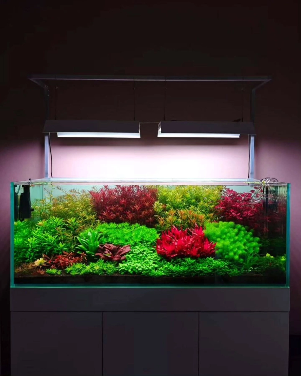 Sử dụng cát nắng tạo điểm nhấn cho bể không CO2