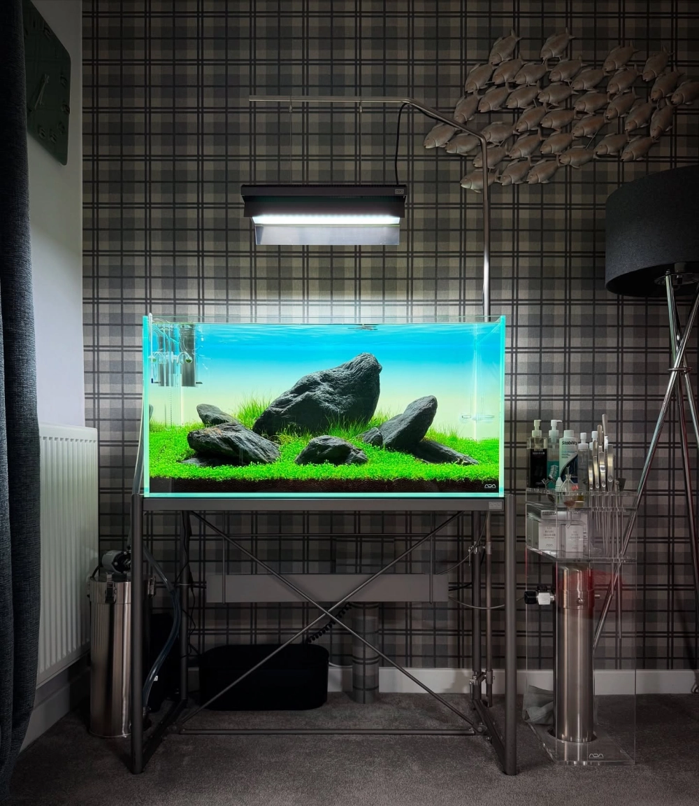 Thiết kế tiểu cảnh thủy sinh đơn giản và tiết kiệm