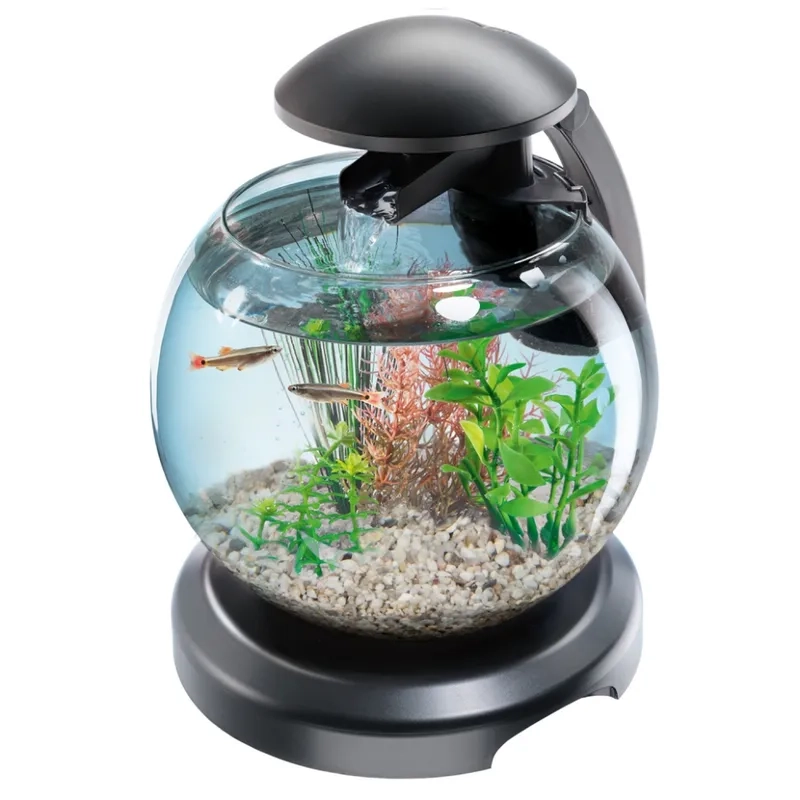 Setup hồ lớn bể thủy sinh 1m2