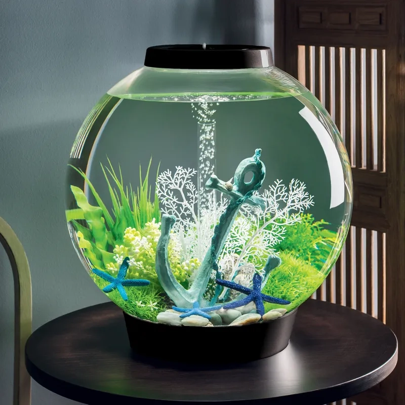 Thiết kế loại bể thủy sinh đúc