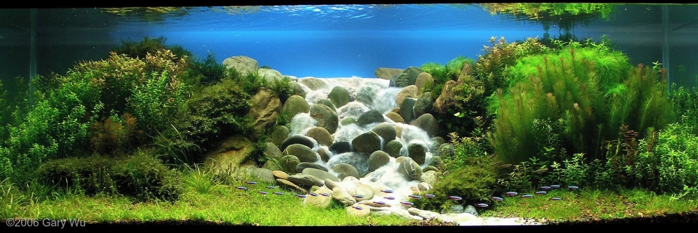 Bể cá lục giác trang trí thác nước kết hợp đèn led huyền ảo