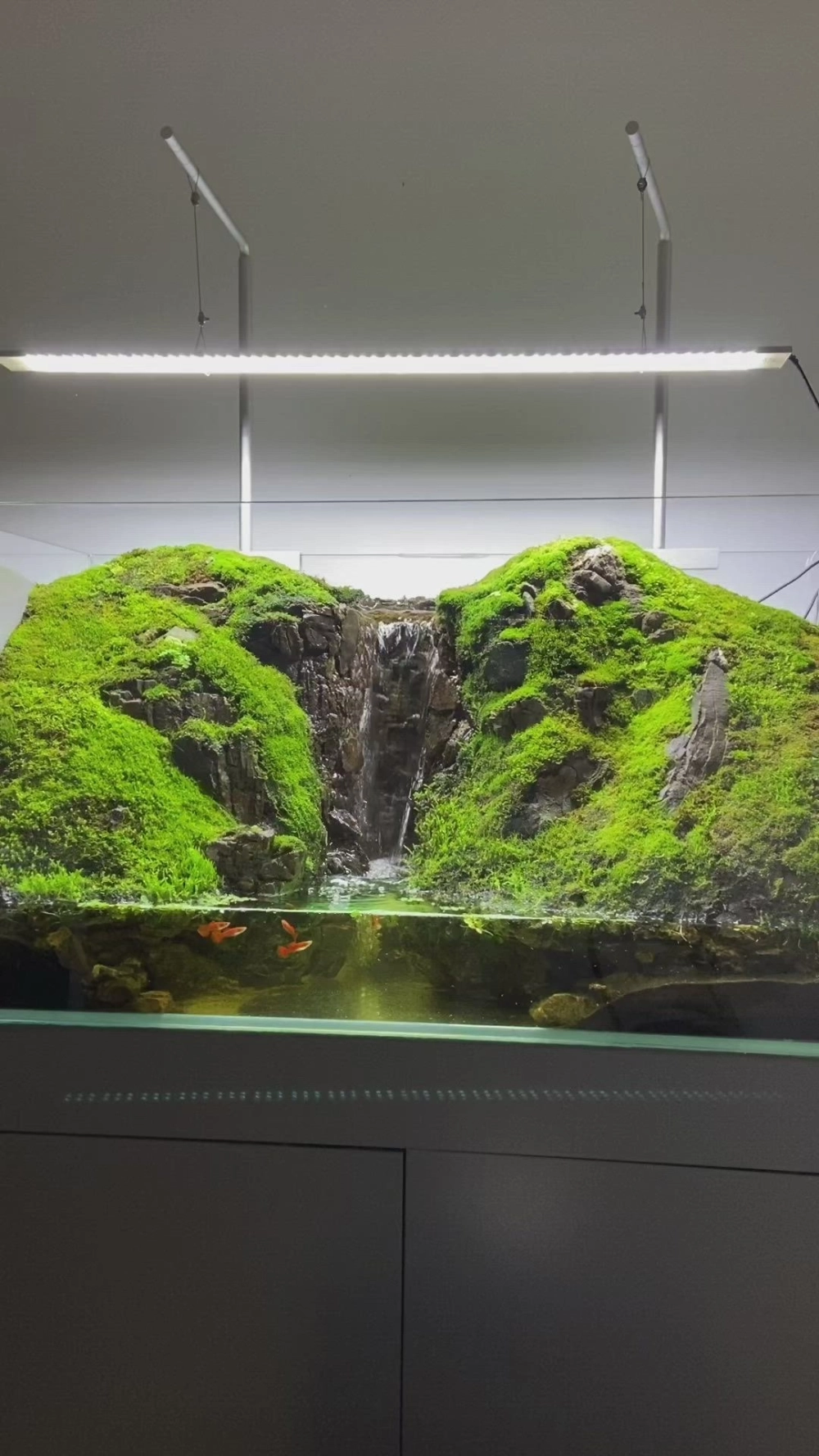 Cảnh tượng thác nước chảy tuần hoàn trong hồ thủy sinh sinh động