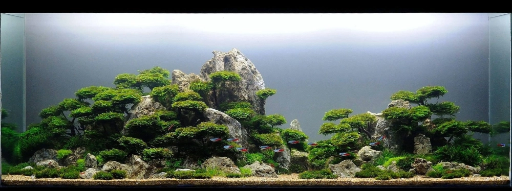 Trang trí rêu xanh mướt quanh khu vực thác nước chảy