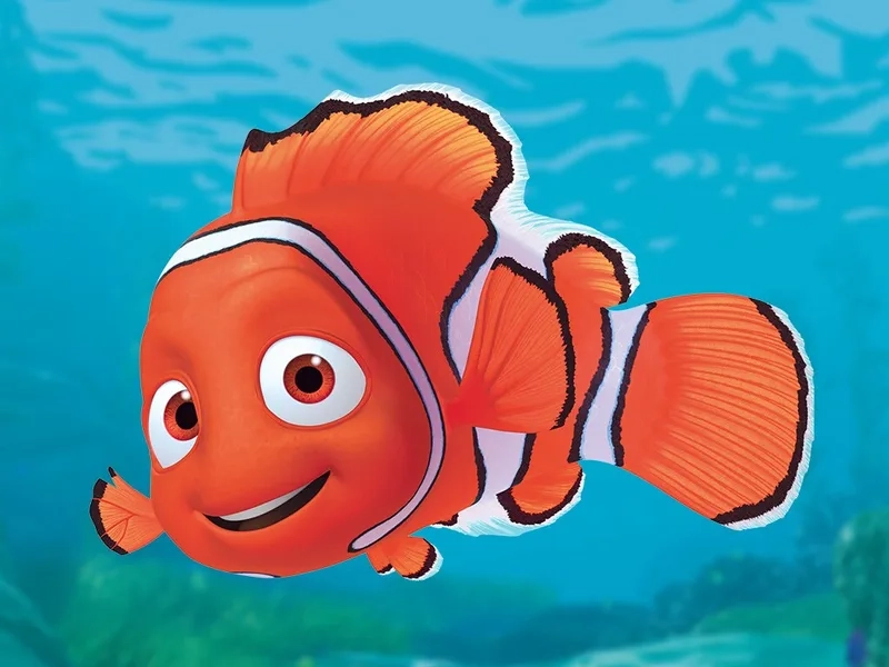 Trải nghiệm chi tiết sắc nét hình cá Nemo 4K