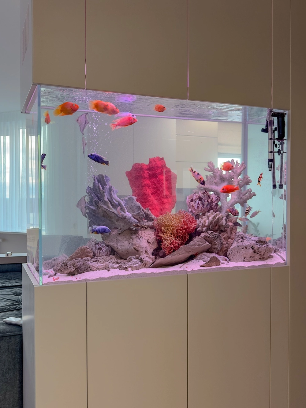 Bể cá văn phòng tối giản với điểm nhấn cát trắng trải nền