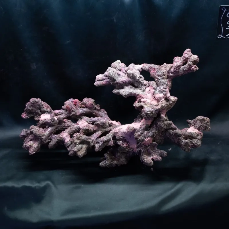 Tìm hiểu đá sống nhân tạo cho bể thủy sinh hiện đại