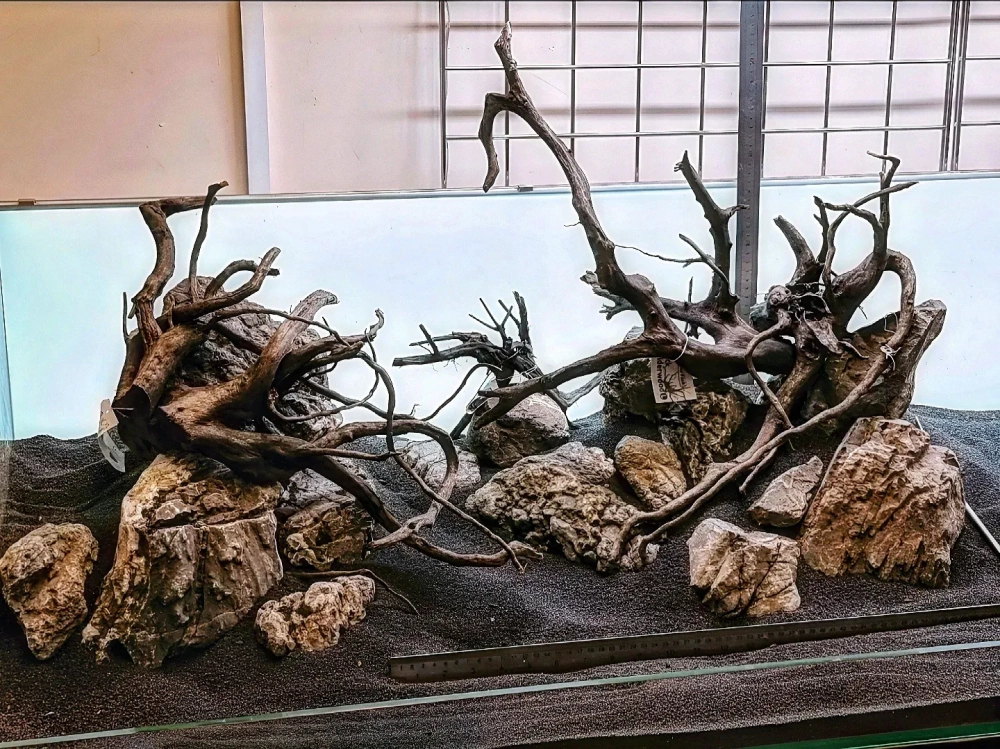 Đá trang trí bể cá kết hợp với ánh sáng đèn led rực rỡ