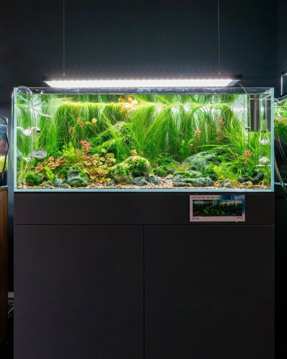 Cách chọn đá trang trí bể cá phù hợp với phong thủy gia chủ