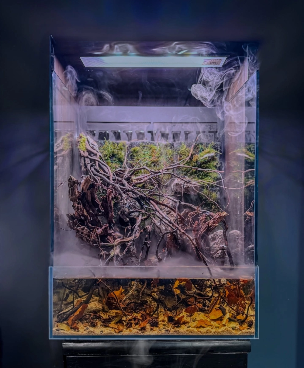 Phác thảo sơ đồ đặt đá trang trí bể cá cho người mới bắt đầu