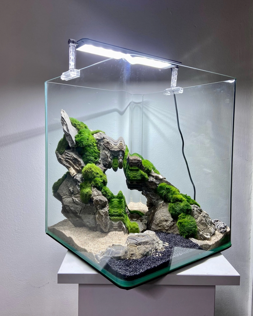 Sự kết hợp giữa rêu xanh và đá trang trí bể cá tự nhiên