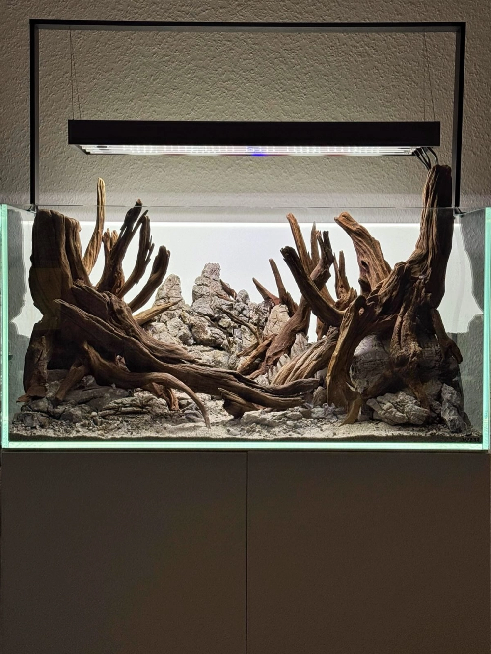 Bố cục đá da voi trong hồ thủy sinh phong cách núi non