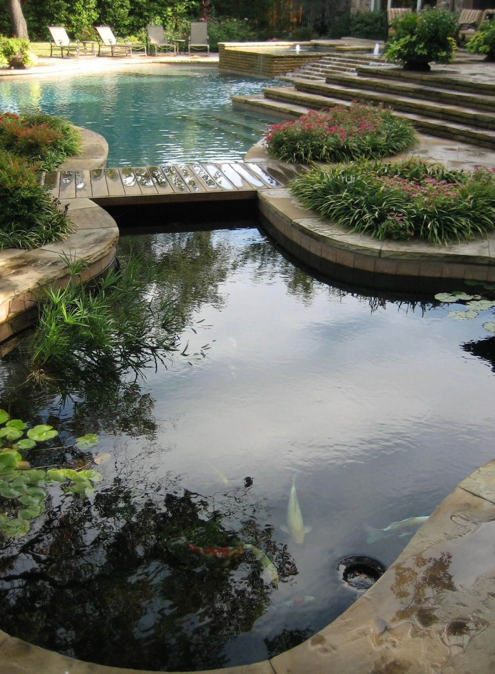 Tiểu cảnh hồ cá Koi đẹp cho sân vườn biệt thự