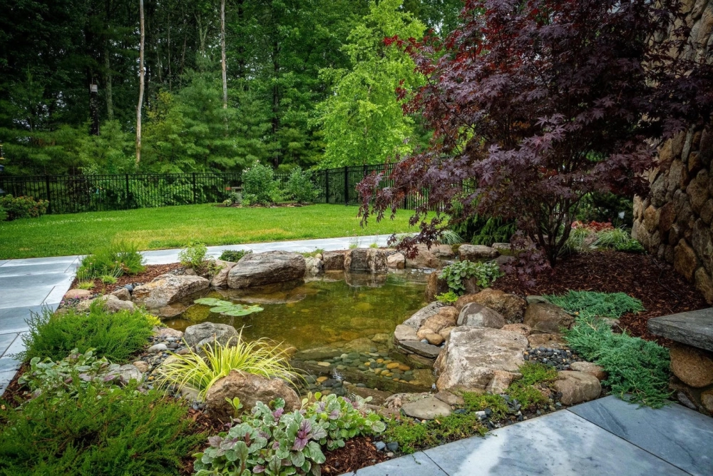 Mẫu decor hồ cá Koi kết hợp thác nước hiện đại