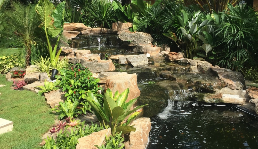 Trang trí hồ cá Koi ngoài trời bằng đá cuội tự nhiên