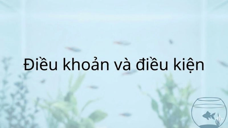 Chấp thuận các điều khoản sử dụng