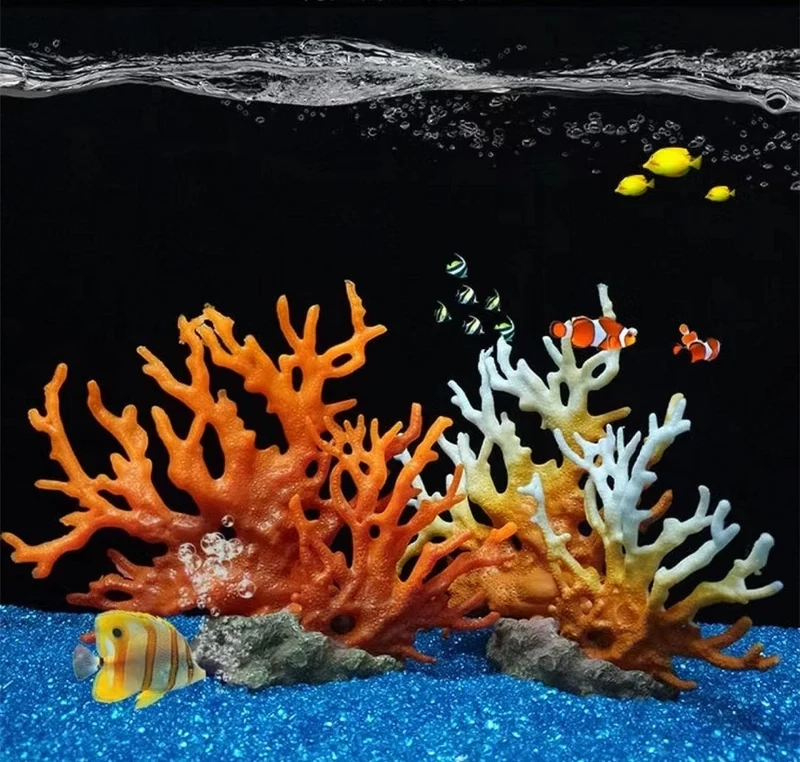 Hướng dẫn thiết kế hồ cá biển đẹp chuẩn phong thủy