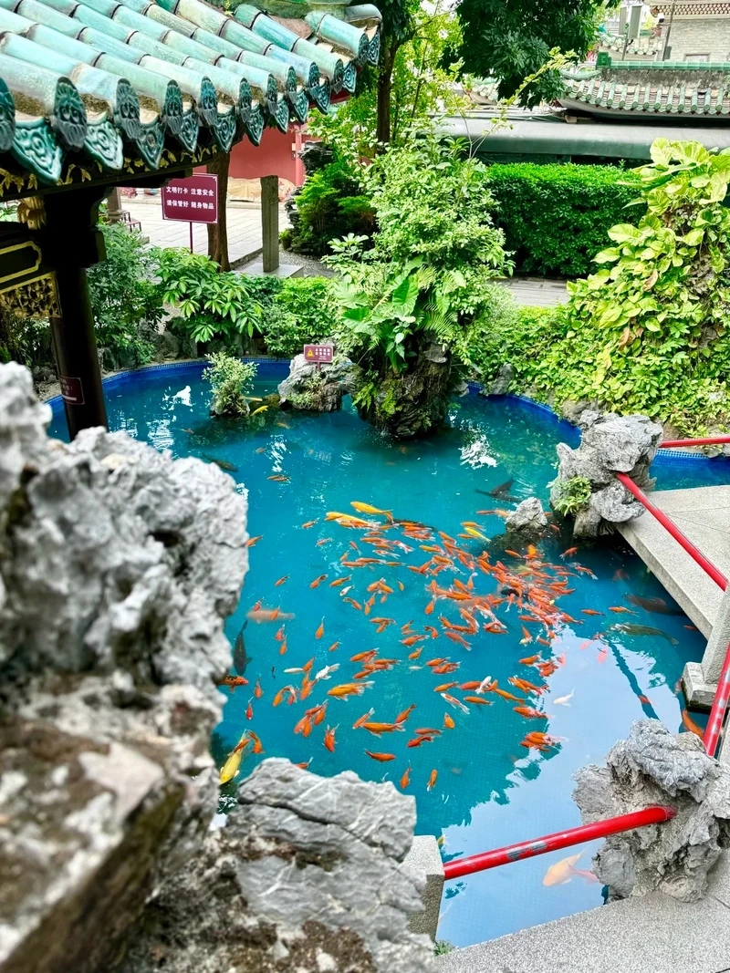 Không gian mở hoàn hảo nhờ hồ cá koi đẹp ngoài trời