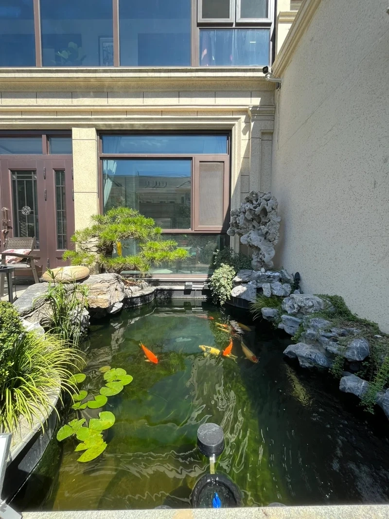 Thư giãn nhẹ nhàng bên hồ cá koi đẹp tiểu cảnh