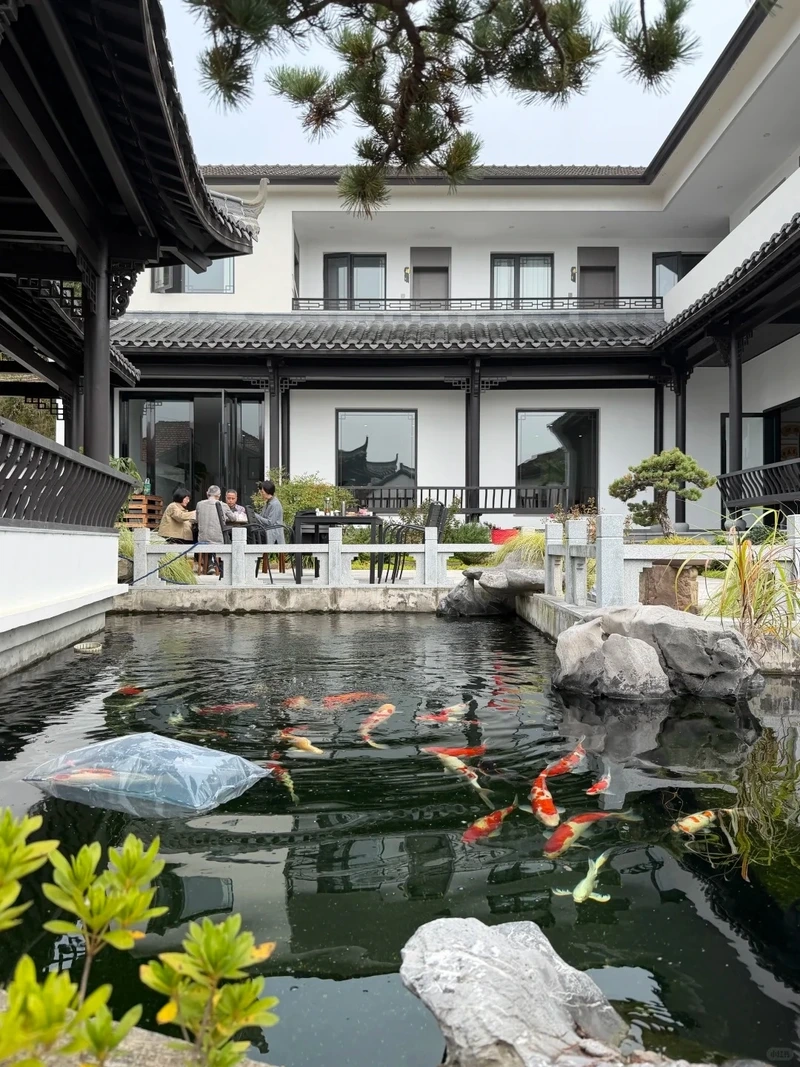 Nâng tầm đẳng cấp với hồ cá koi đẹp cao cấp