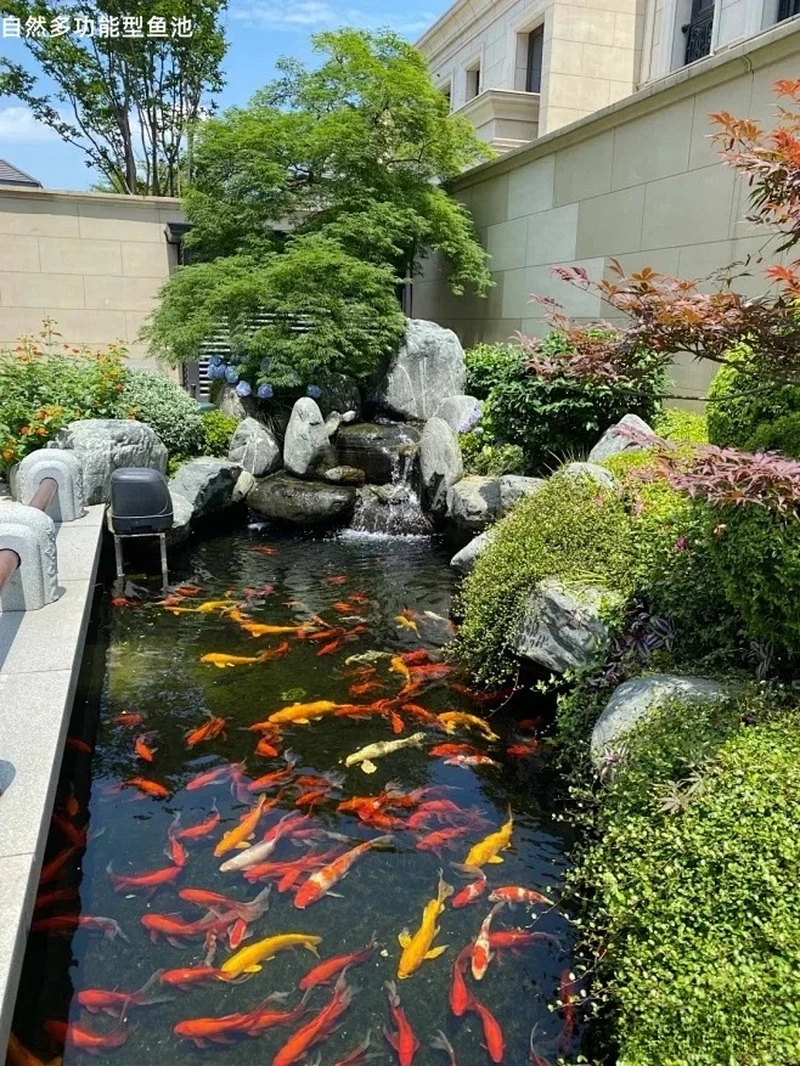 Không gian xanh tuyệt vời nhờ hồ cá koi đẹp không gian xanh