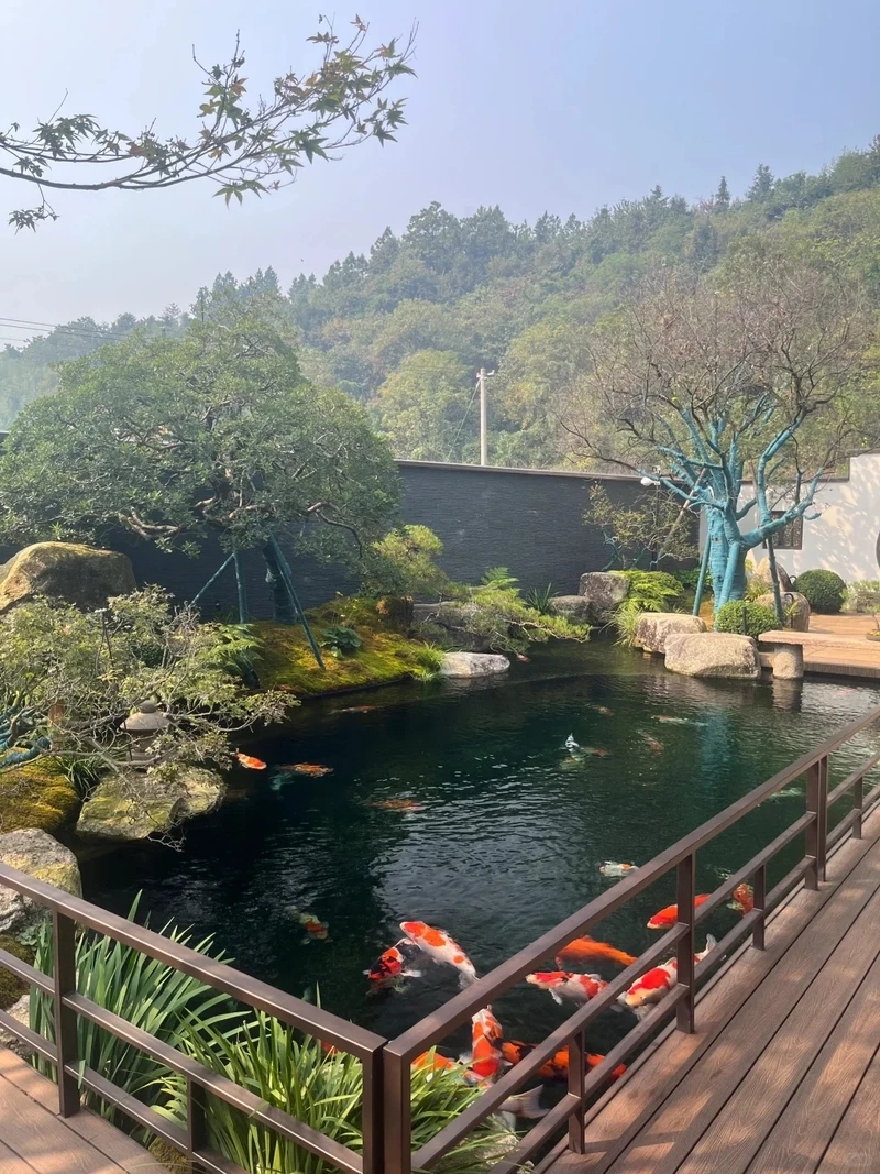 Kiến trúc nổi bật cùng hồ cá koi đẹp kiến trúc