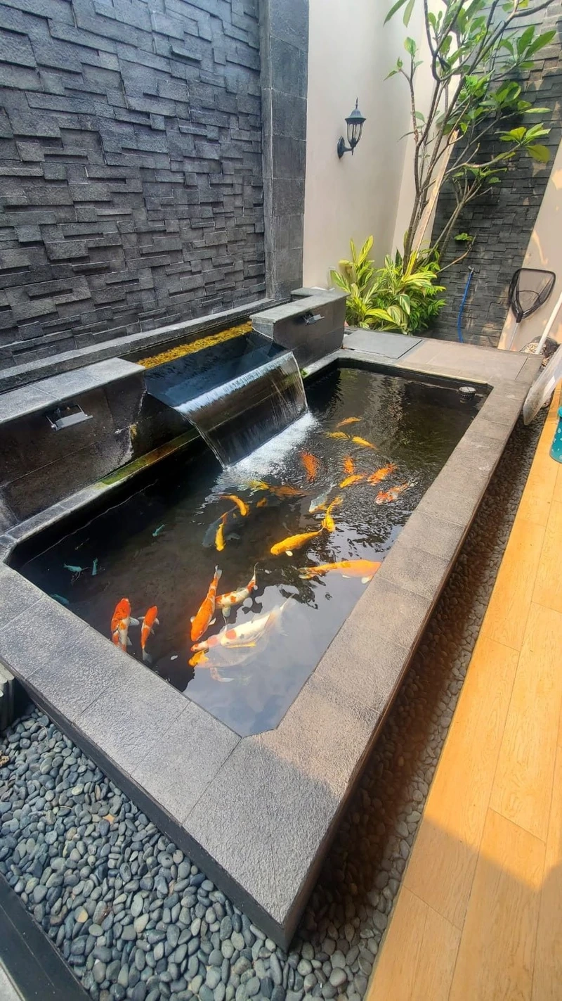 Trước nhà thêm nổi bật cùng hồ cá koi mini trước nhà