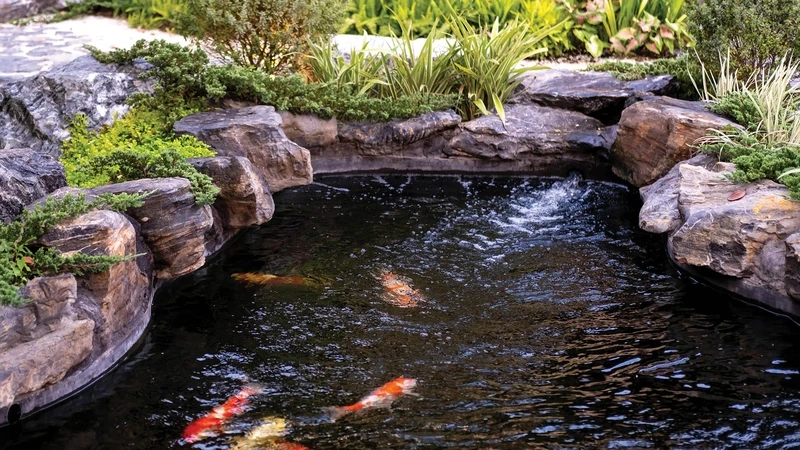 Mang tài lộc vào nhà với hồ cá koi mini phong thủy