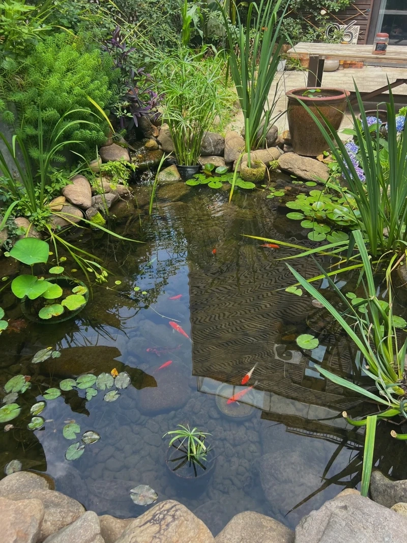 Thiết kế tinh tế cho không gian với hồ cá koi mini thiết kế đẹp