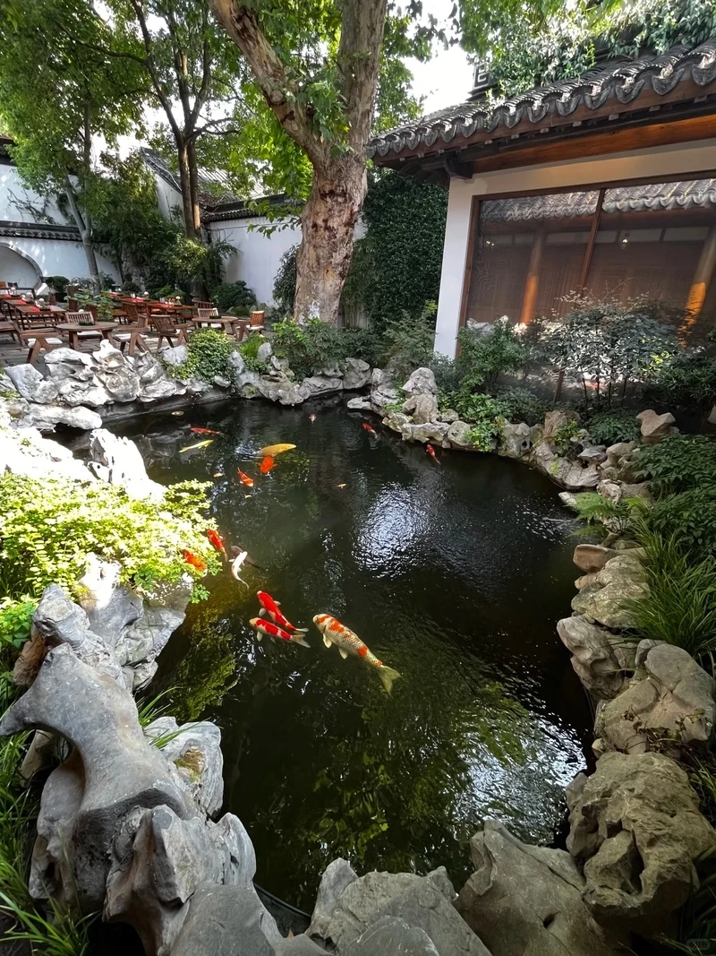 iến trúc xanh hòa nhịp với hồ cá Koi sân vườn