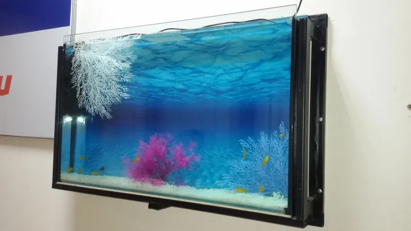 Hệ thống lọc hồ cá treo tường