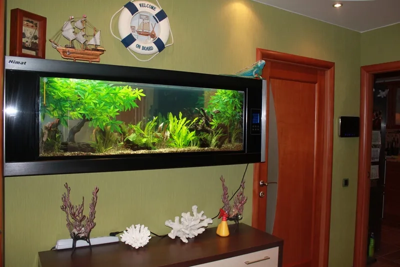 Cách trang trí hồ cá treo tường