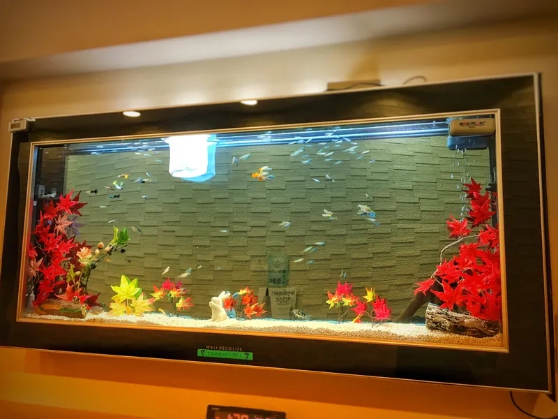 Khung cho hồ cá treo tường gỗ