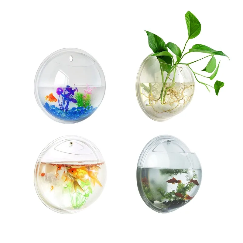 Cách tự vệ sinh hồ cá treo tường