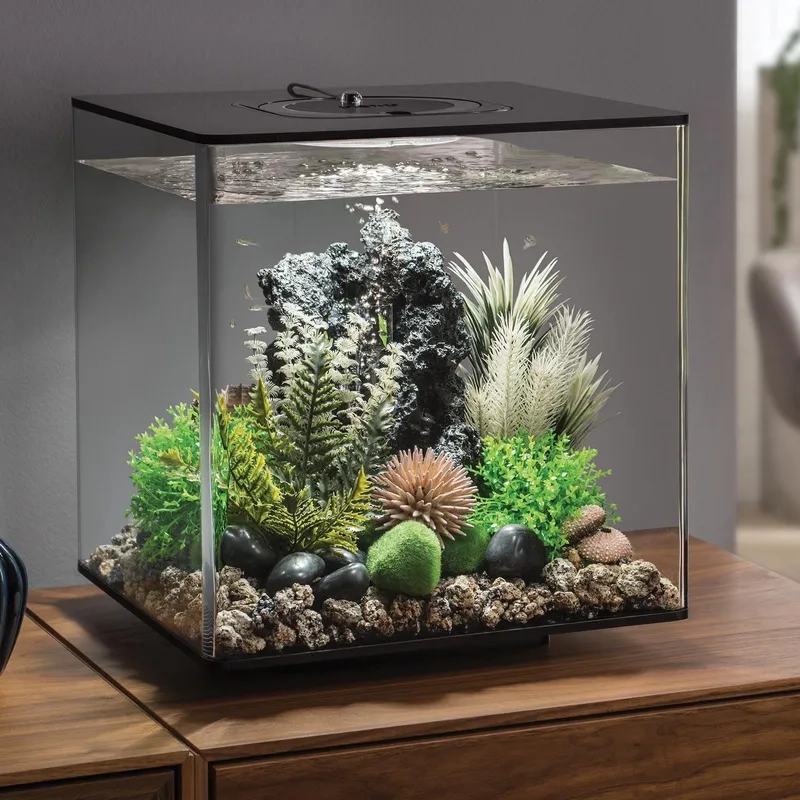 Chia sẻ kinh nghiệm chơi hồ để bàn