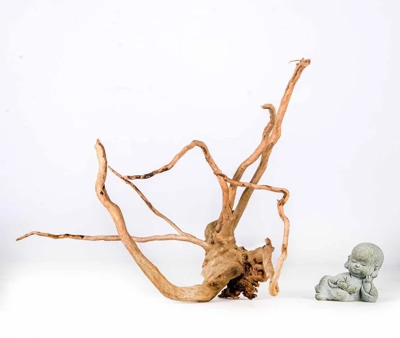 Mẫu lũa đỗ quyên gắn ráy xanh