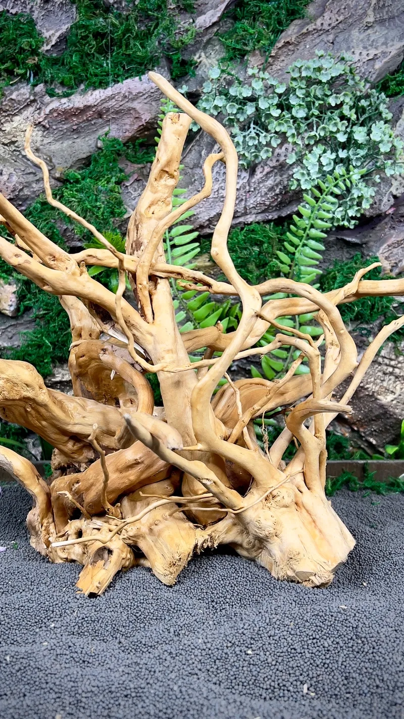 Cách làm các bộ lũa đỗ quyên chìm