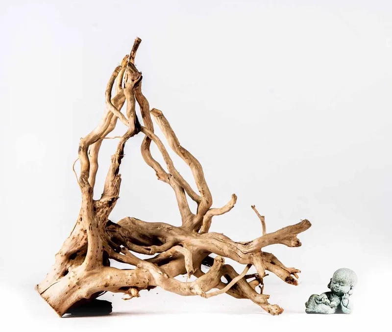 Setup lũa đỗ quyên tạo hình rừng