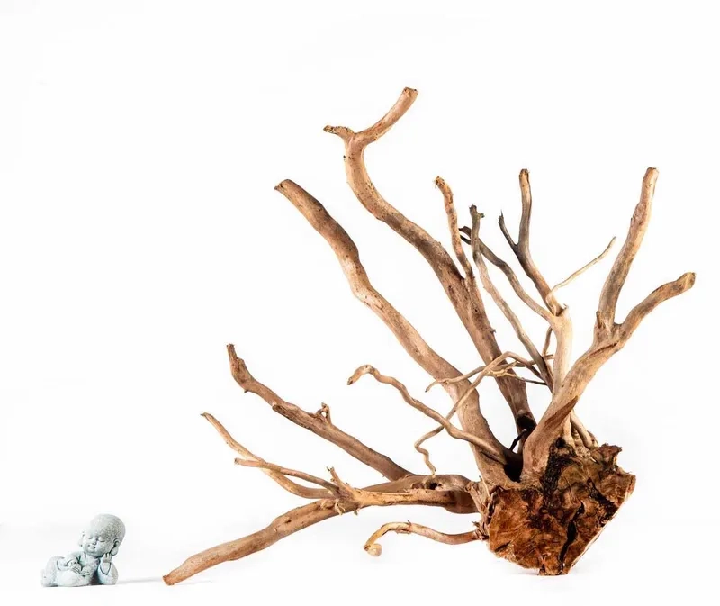 Nghệ thuật phối lũa đỗ quyên với đá