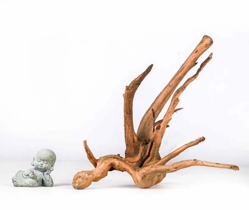 Dùng lũa đỗ quyên trang trí terrarium