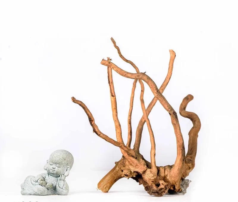 Cận cảnh bộ lũa đỗ quyên thủy sinh