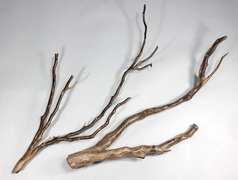 Kỹ thuật cách luộc lũa Hải Sơn Tùng