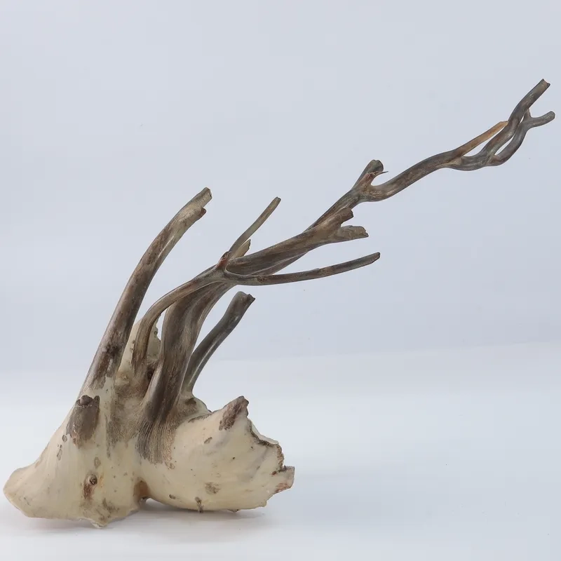 Cách để lũa Hải Sơn Tùng chìm nước