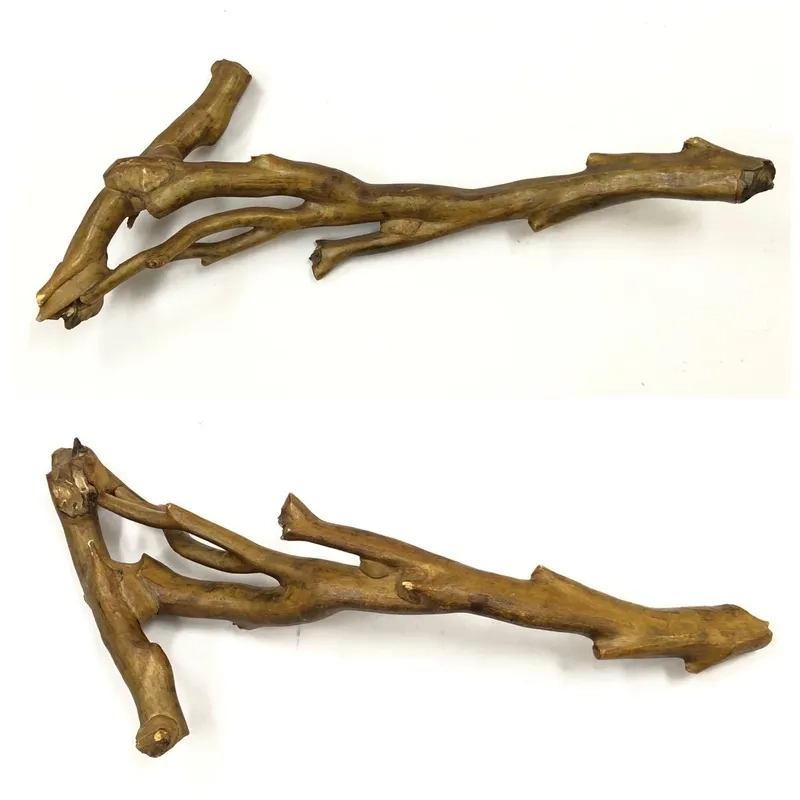 Vẻ đẹp lũa Hải Sơn Tùng xương chùm