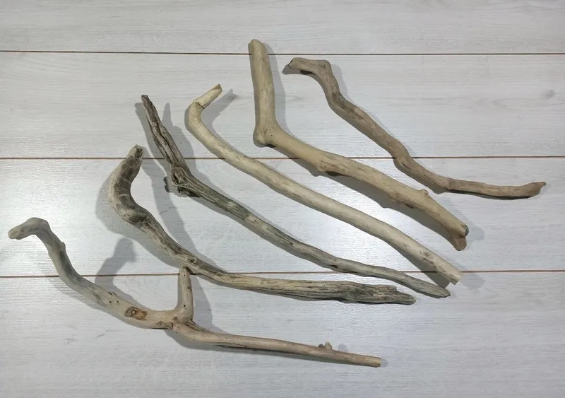 Dòng lũa Hải Sơn Tùng gắn dương xỉ