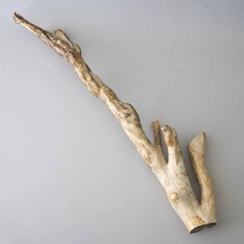 Những nhánh lũa Hải Sơn Tùng mini xinh