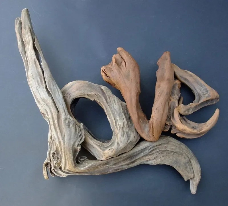 Tham khảo bảng giá lũa Hải Sơn Tùng tốt