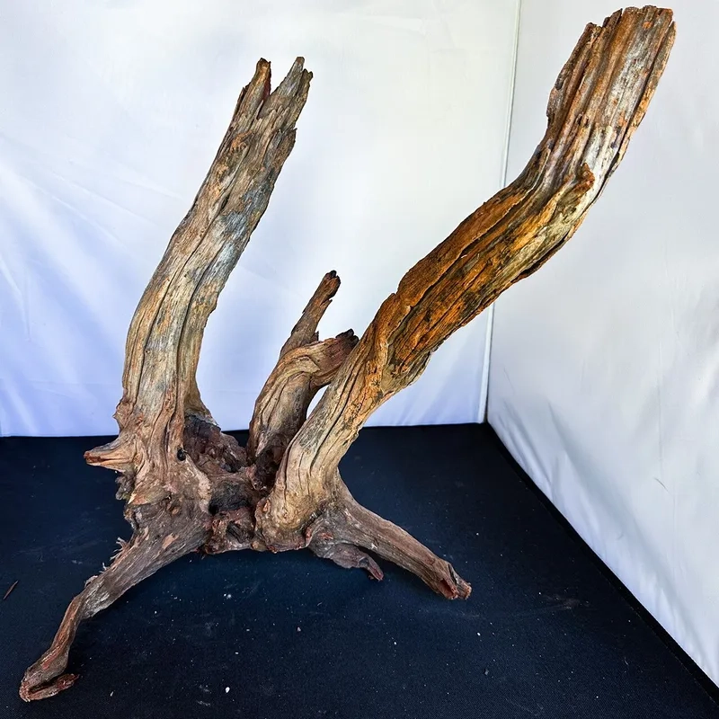 Giải đáp lũa Hải Sơn Tùng có ra màu không